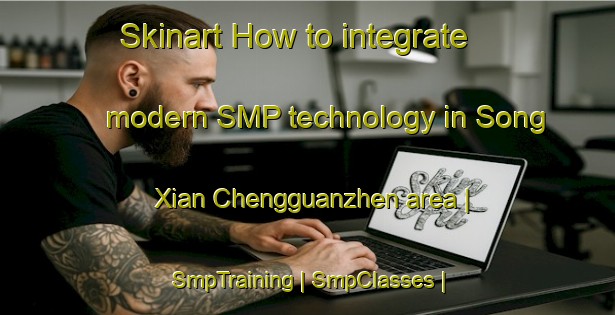 Skinart How to integrate modern SMP technology in Song Xian Chengguanzhen area | SmpTraining | SmpClasses | SkinartTraining-China